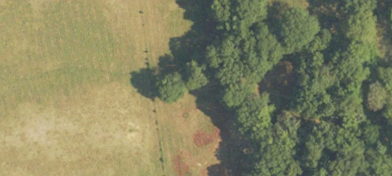 Union, MS 39365