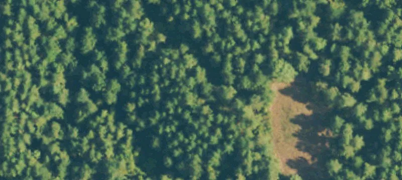 Foxworth, MS 39483
