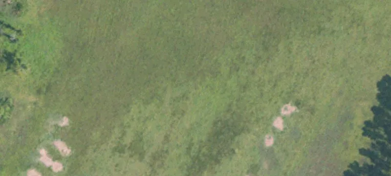 Aberdeen, MS 39730