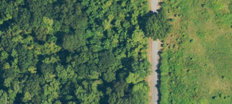 Whatley Rd