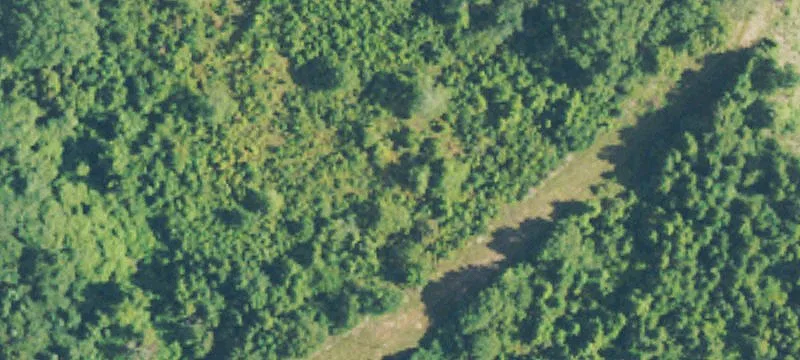 Dirt Rd