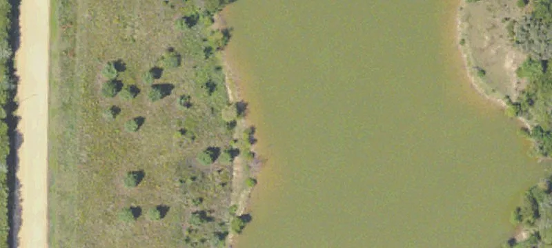 Courtland, MS 38620