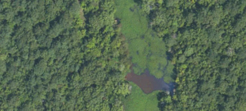 Woodland, MS 39776
