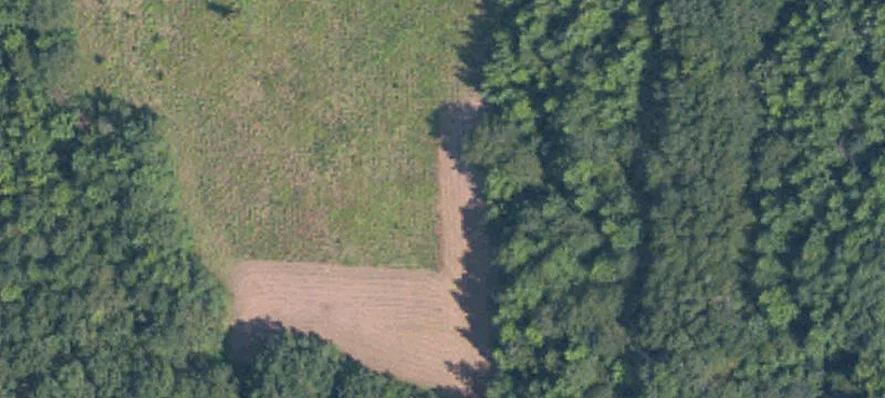 Aberdeen, MS 39730