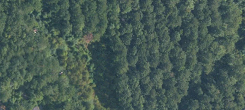Aberdeen, MS 39730