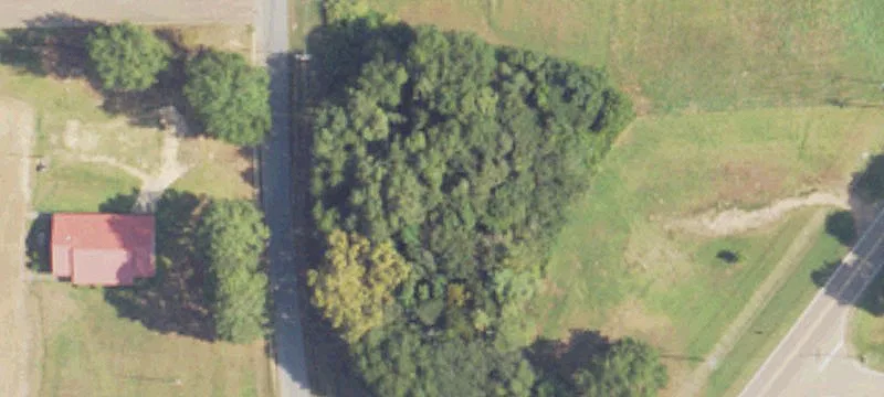 Pickens, MS 39146