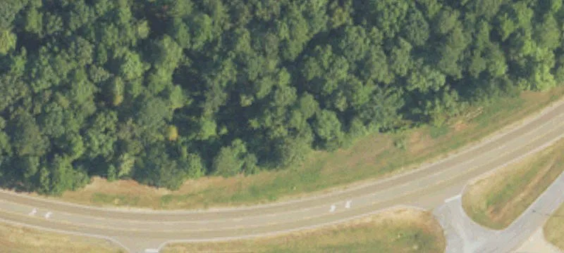 Philadelphia, MS 39350