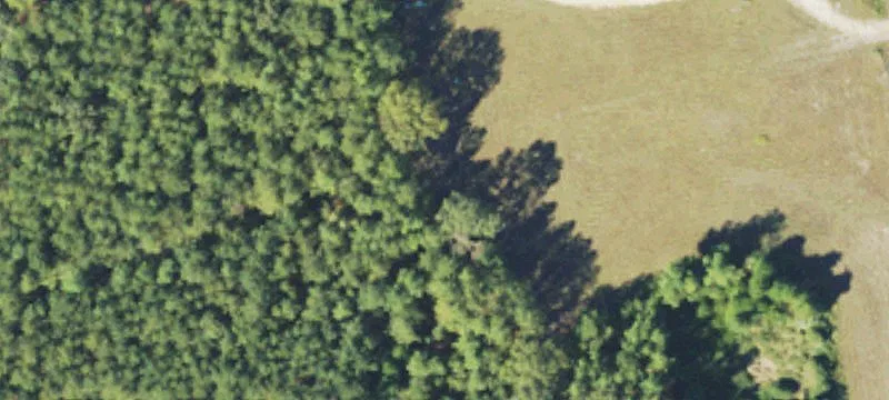 2296 County Rd 110