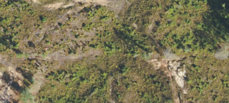 100 Wood Rd