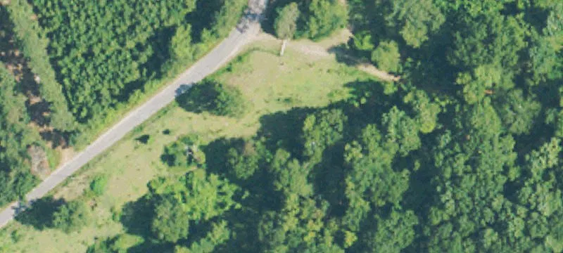 Miller Rd