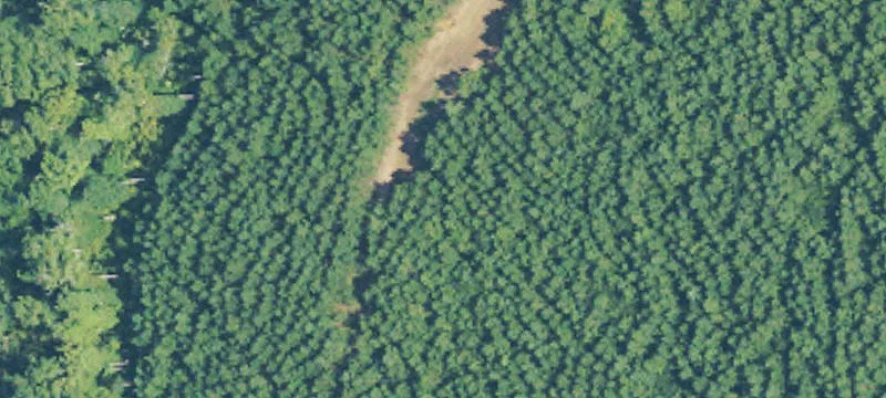 Palestine Rd