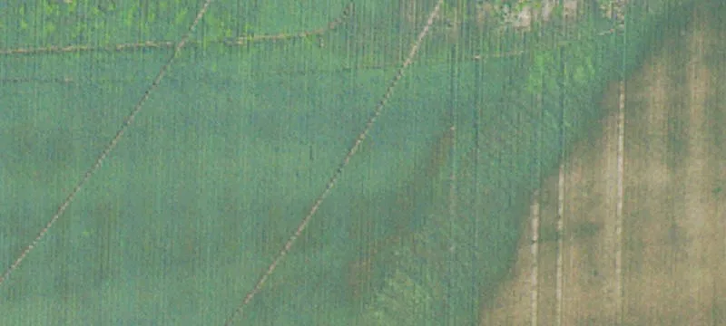 Tutwiler, MS 38963