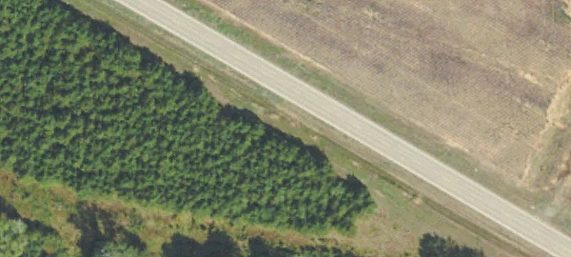 643 Rdg Rd
