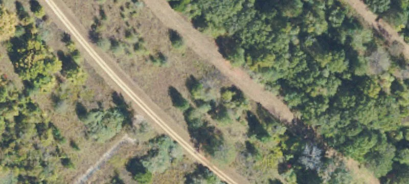 Tishomingo, MS 38873