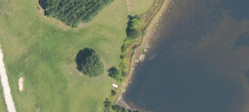 Mantee, MS 39751