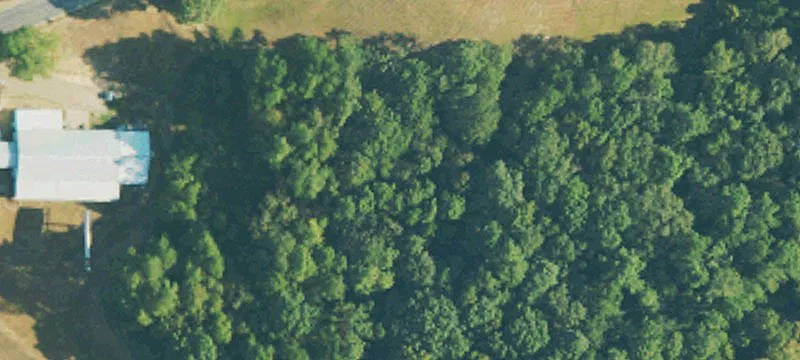 Mendenhall, MS 39114