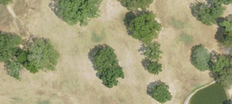 Meadville, MS 39653