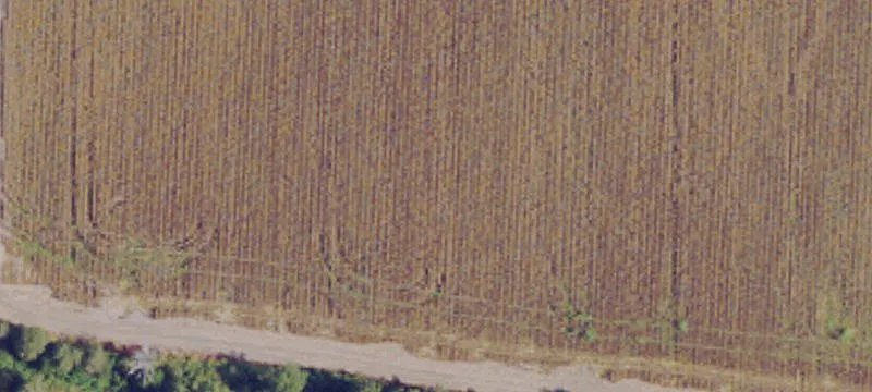 Tutwiler, MS 38963