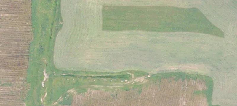 990 County Rd 308