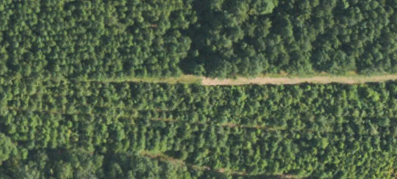 West, MS 39192
