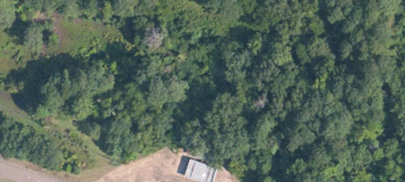 Aberdeen, MS 39730