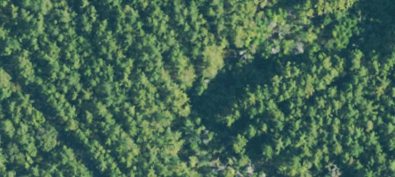 Sandy Hook, MS 39478