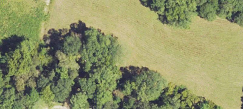 263 County Rd 144