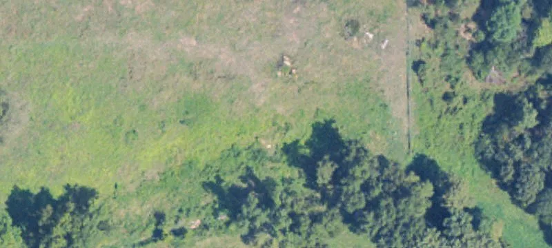 Grenada, MS 38901