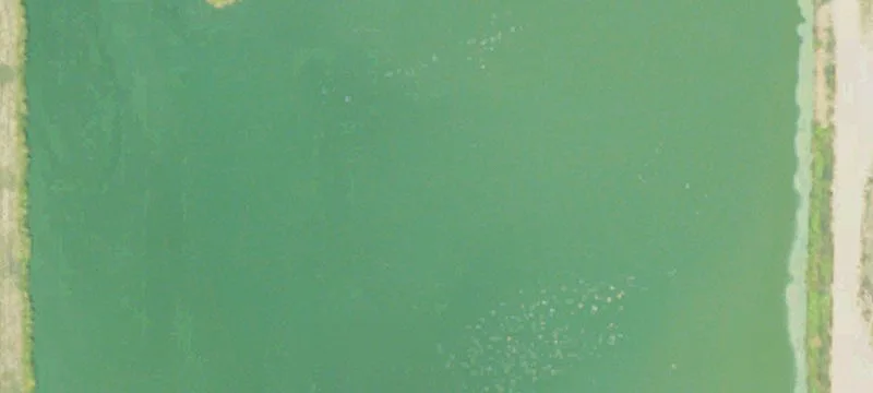 Isola, MS 38754