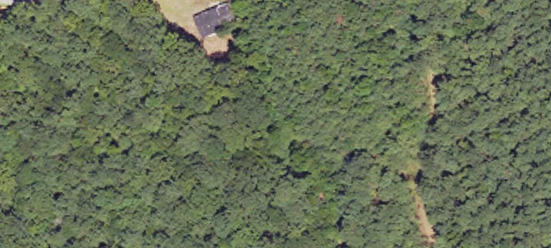 2643 County Rd 333