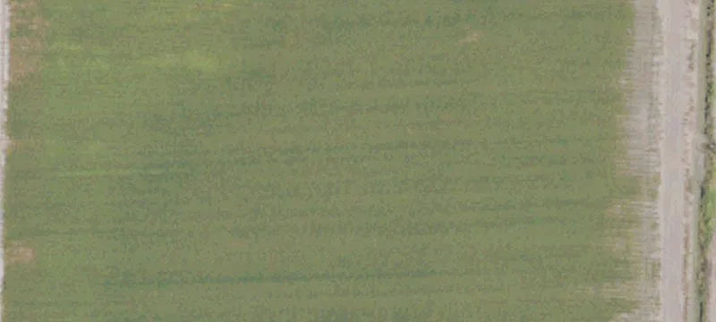 Sunflower, MS 38778