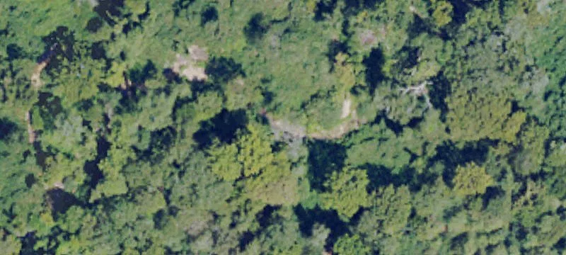 342 Old Tchula Rd