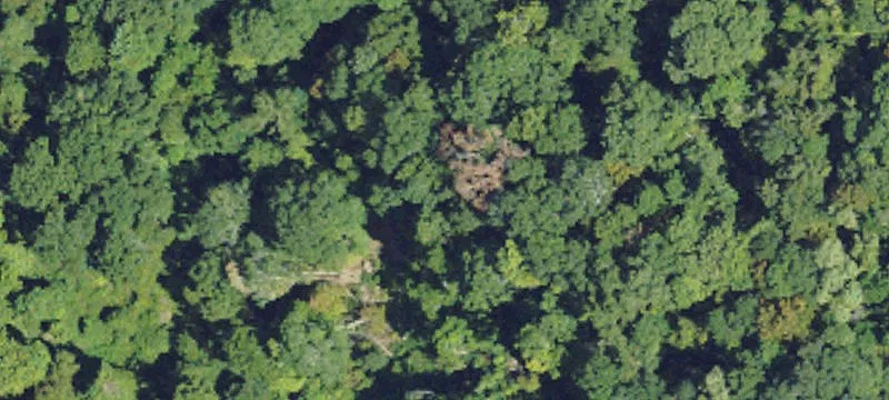 Woodville, MS 39669