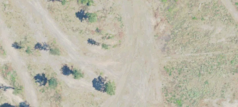 Mize, MS 39116