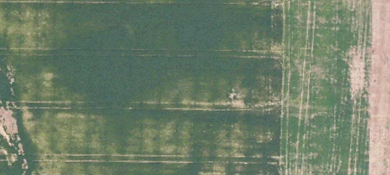 Woodland, MS 39776