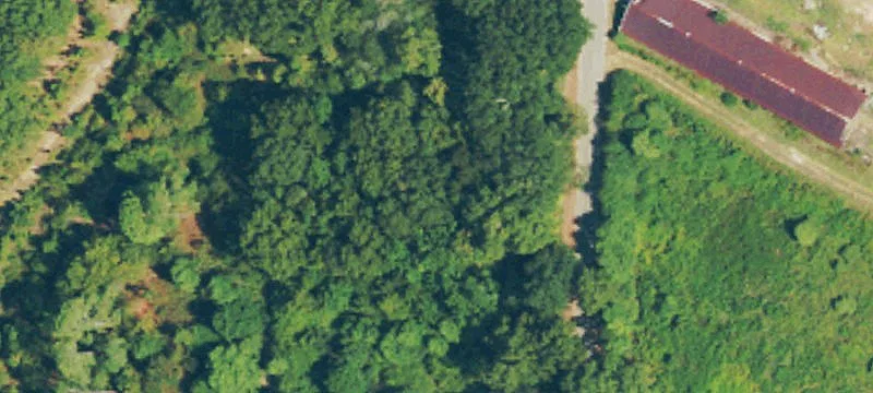 Whatley Rd