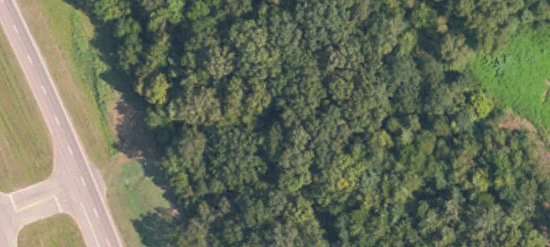 Aberdeen, MS 39730