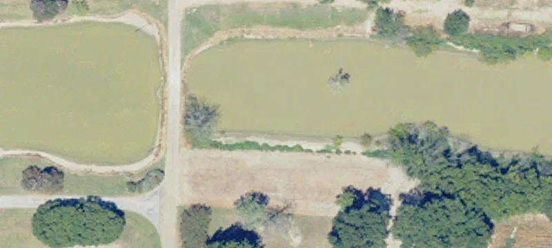 Anguilla, MS 38721