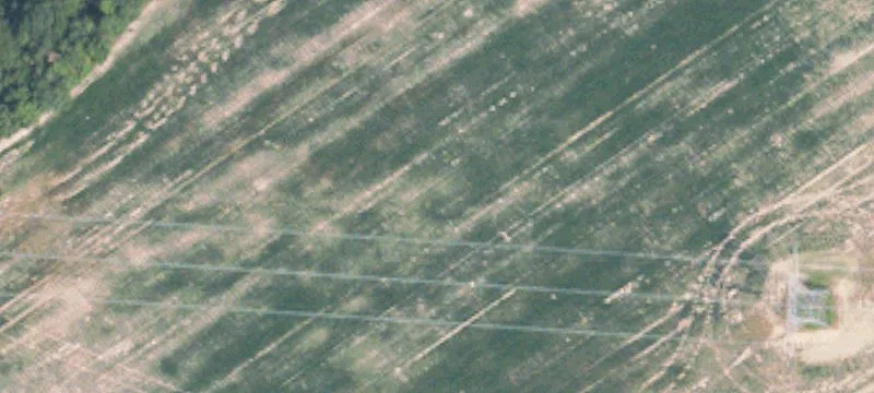 Hamilton, MS 39746