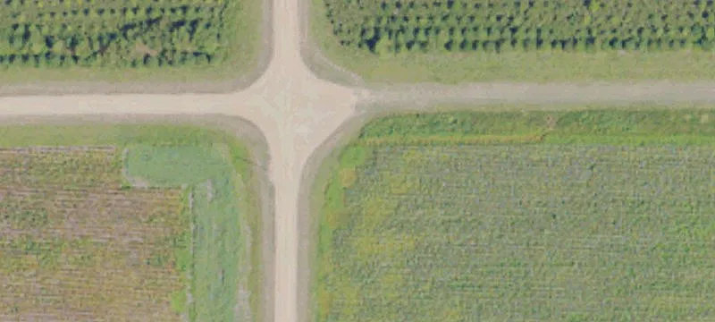 Morgan City, MS 38946