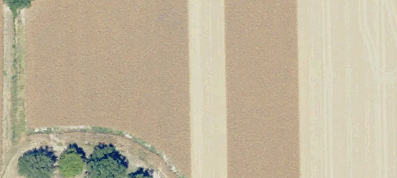 Anguilla, MS 38721