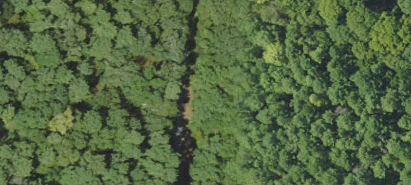 Bogue Chitto, MS 39629