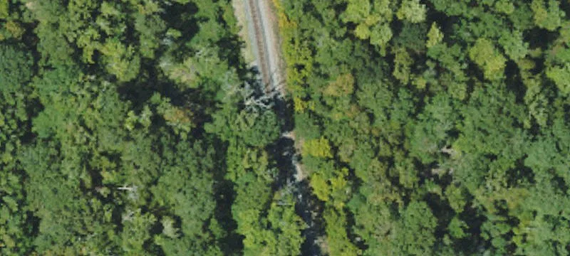 Bogue Chitto, MS 39629