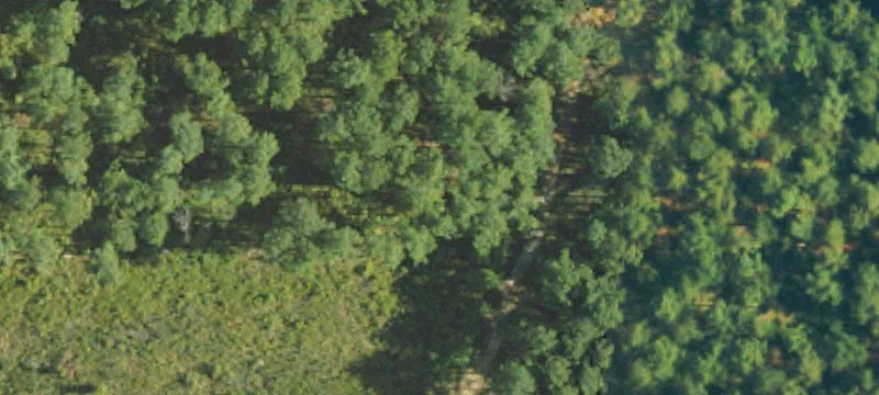 Newhebron, MS 39140