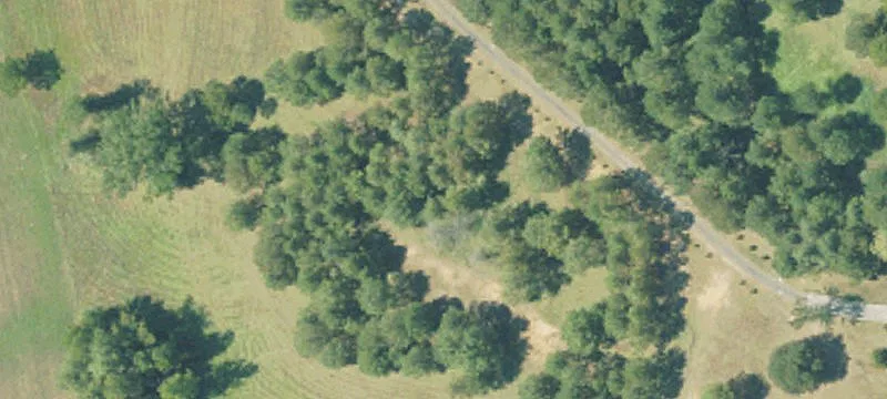 Mag-progress Rd