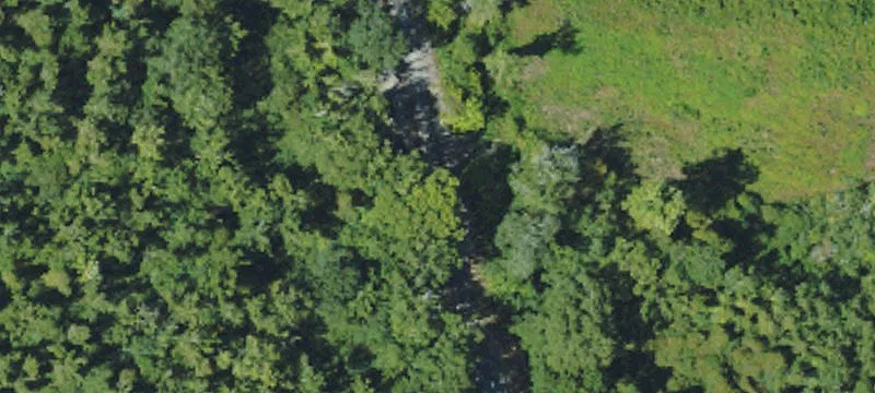 Bogue Chitto, MS 39629