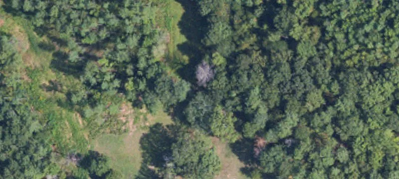 Winona, MS 38967