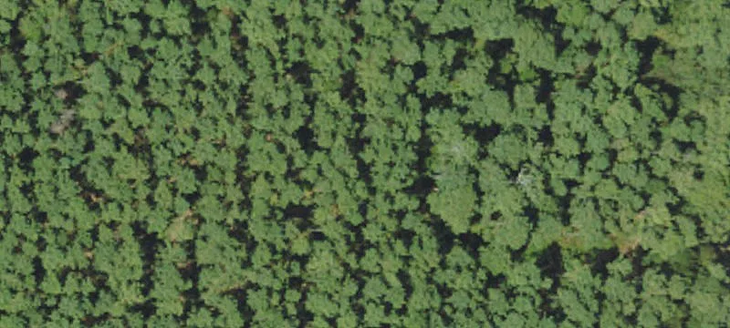 Bogue Chitto, MS 39629