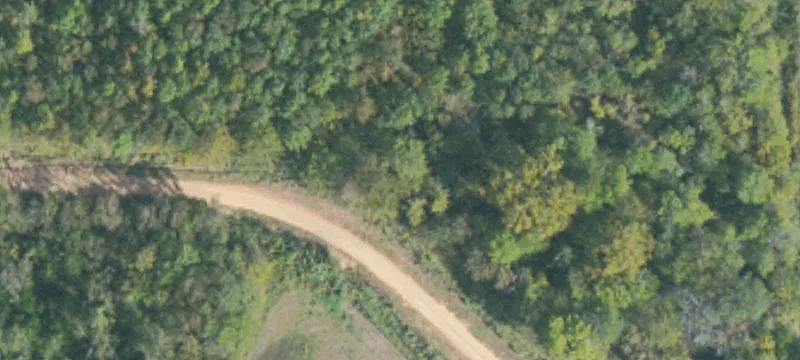 Brooksville, MS 39739