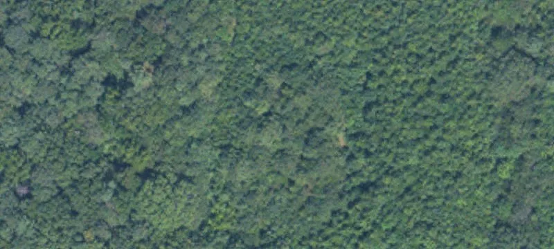 Aberdeen, MS 39730